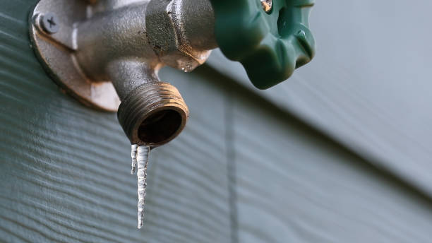 Best Local Plumber Services  in Dade City North, FL